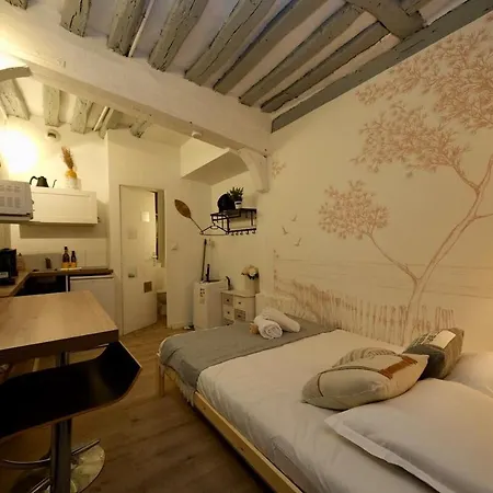 - Petit Studio, Hyper Centre